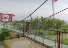 Jembatan Gantung Garuda: Simbol Harapan Baru dan Nadi Ekonomi Adimulyo